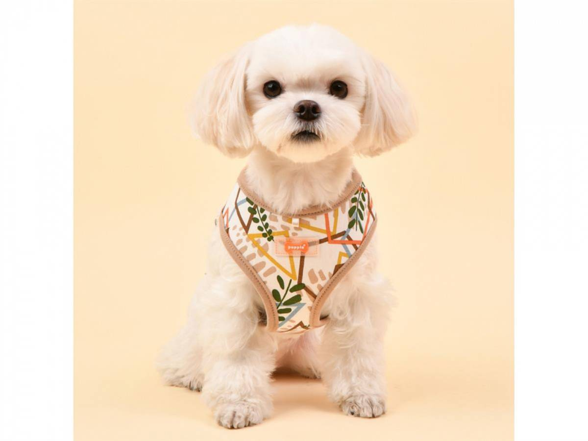 Puppia Botanical Harness A Beige