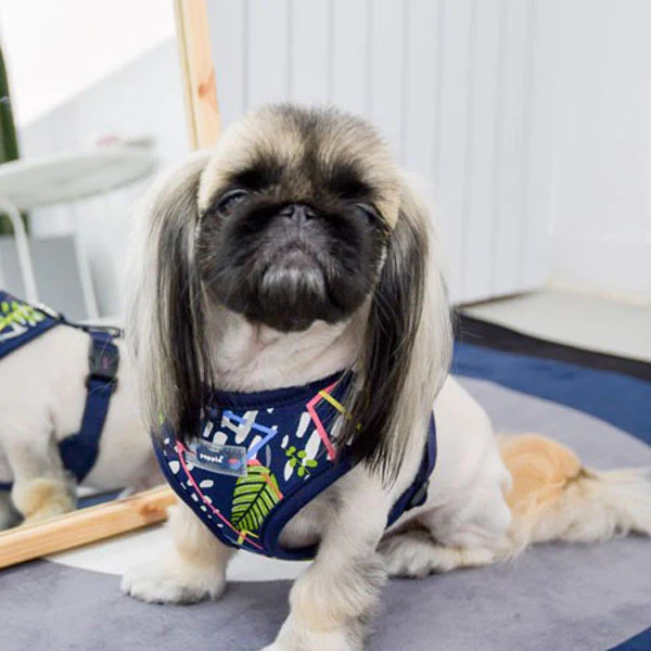 Puppia Botanical Harness A Blå / Navy