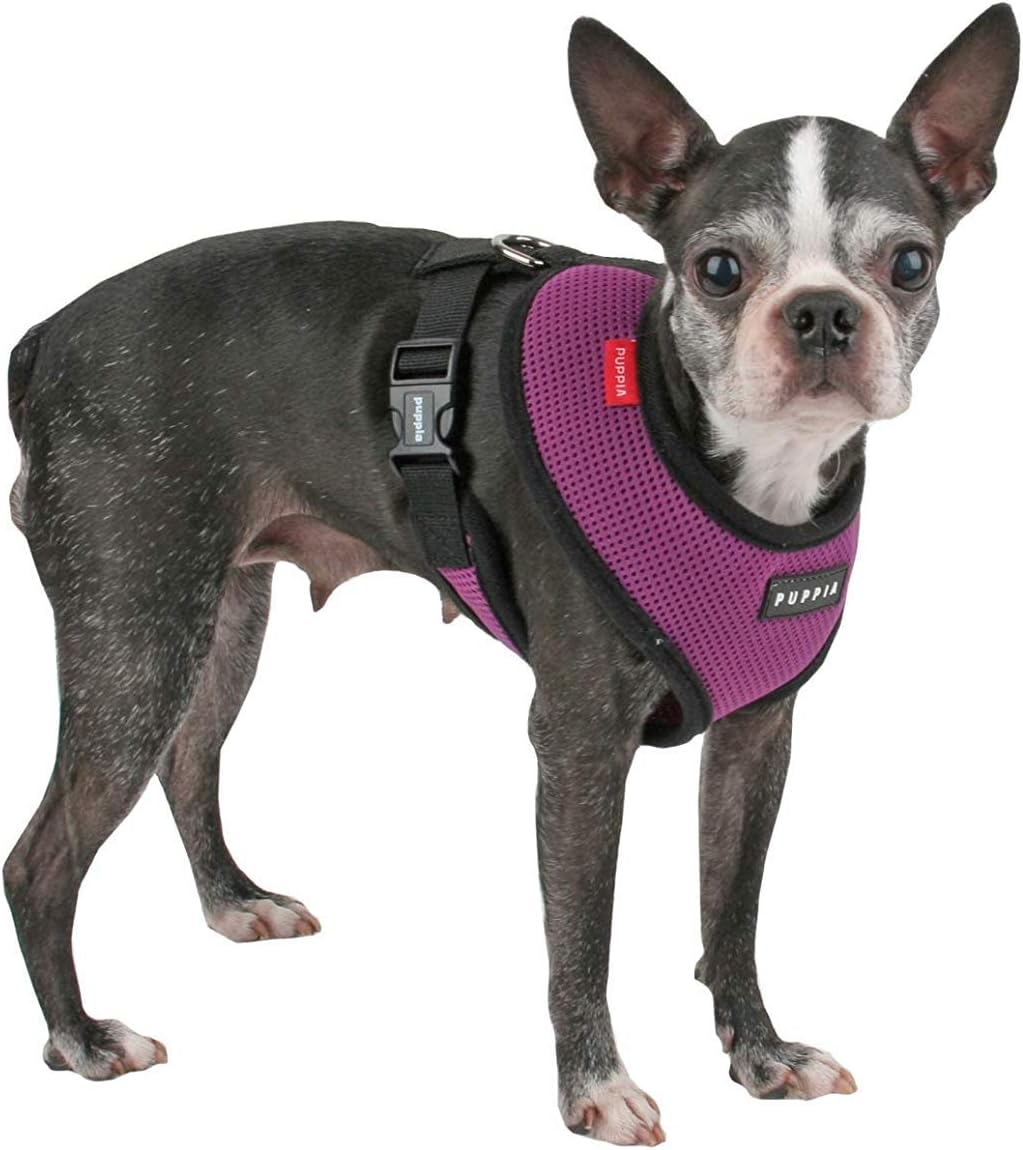 Puppia Soft Harness A Lilla / Purple