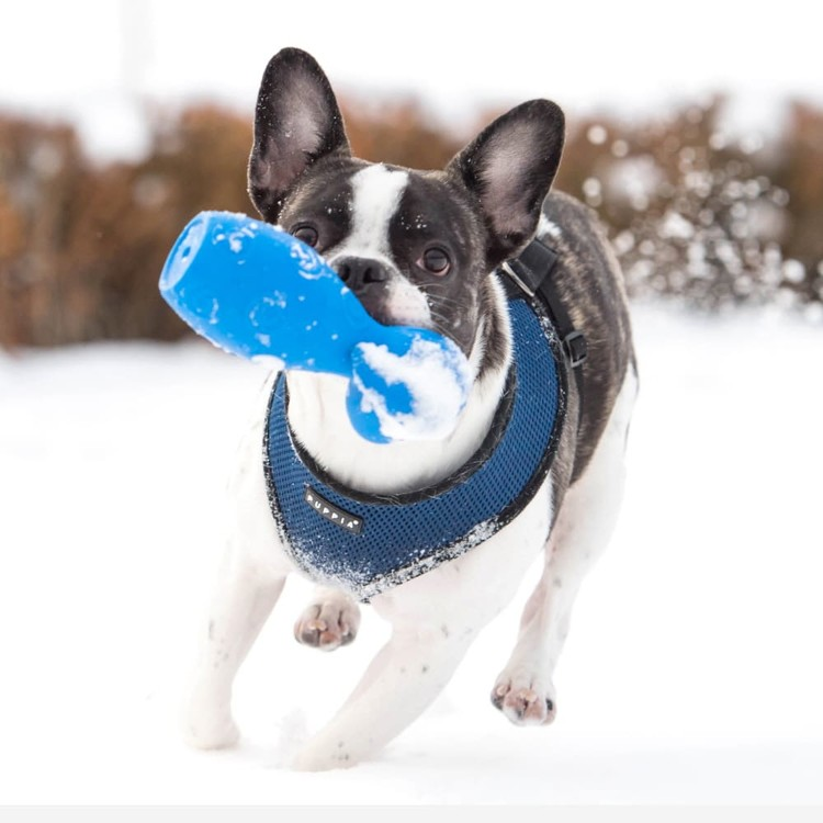 Puppia Soft Harness A Blå / Navy