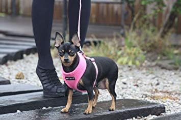Puppia Soft Harness A Rosa / Pink
