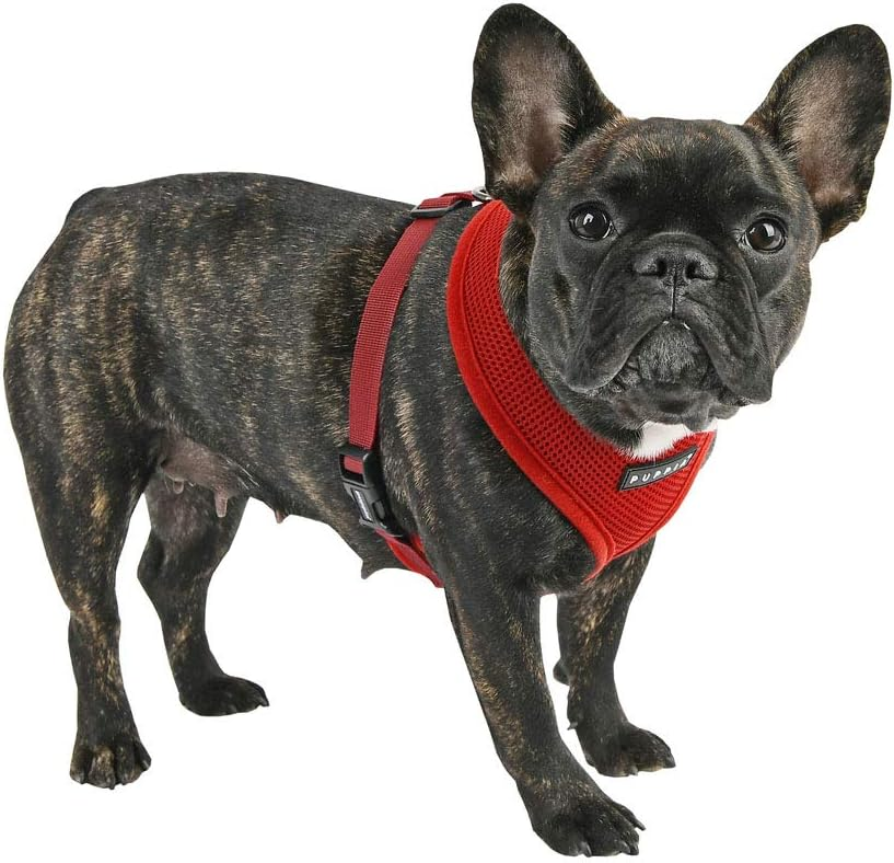 Puppia Soft Harness A Vinrød / Wine