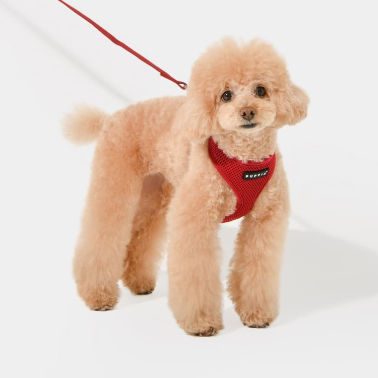 Puppia Soft Harness A Vinrød / Wine