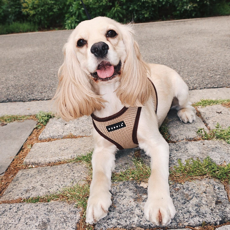 Puppia Soft Sport Harness B Beige