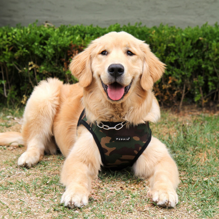 Puppia Soft Sport Harness B Camo