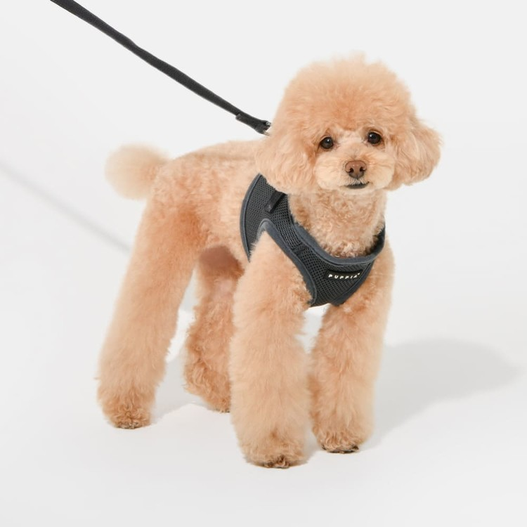 Puppia Soft Sport Harness B Grå / Grey