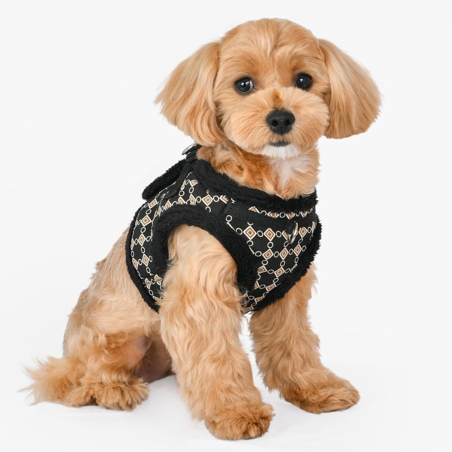 Puppia Jace Harness B Black