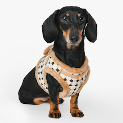 Puppia Jace Harness B Beige