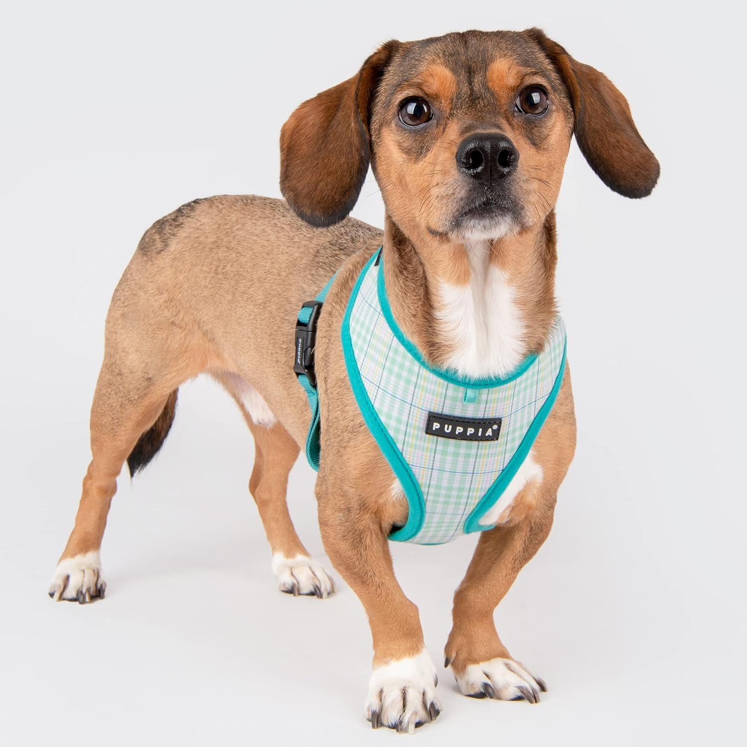 Puppia Luke Harness A Aqua