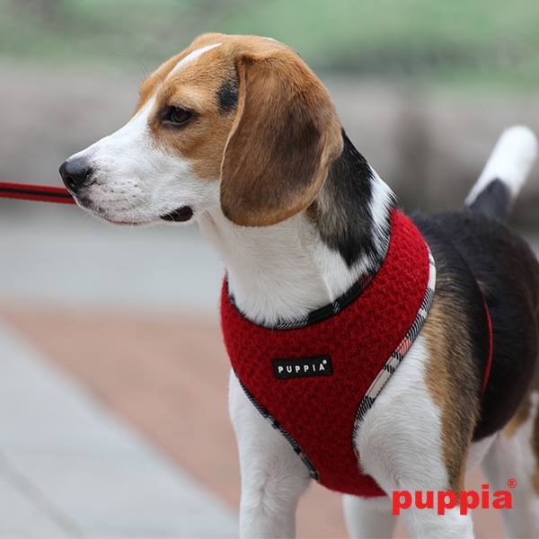 Puppia Smurf Harness A Blå / Navy L & Rød / Red L