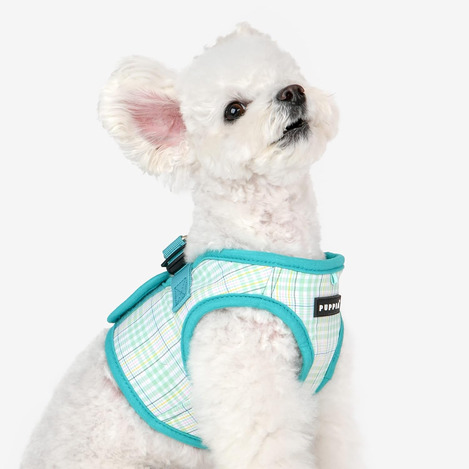 Puppia Jace Harness B Aqua