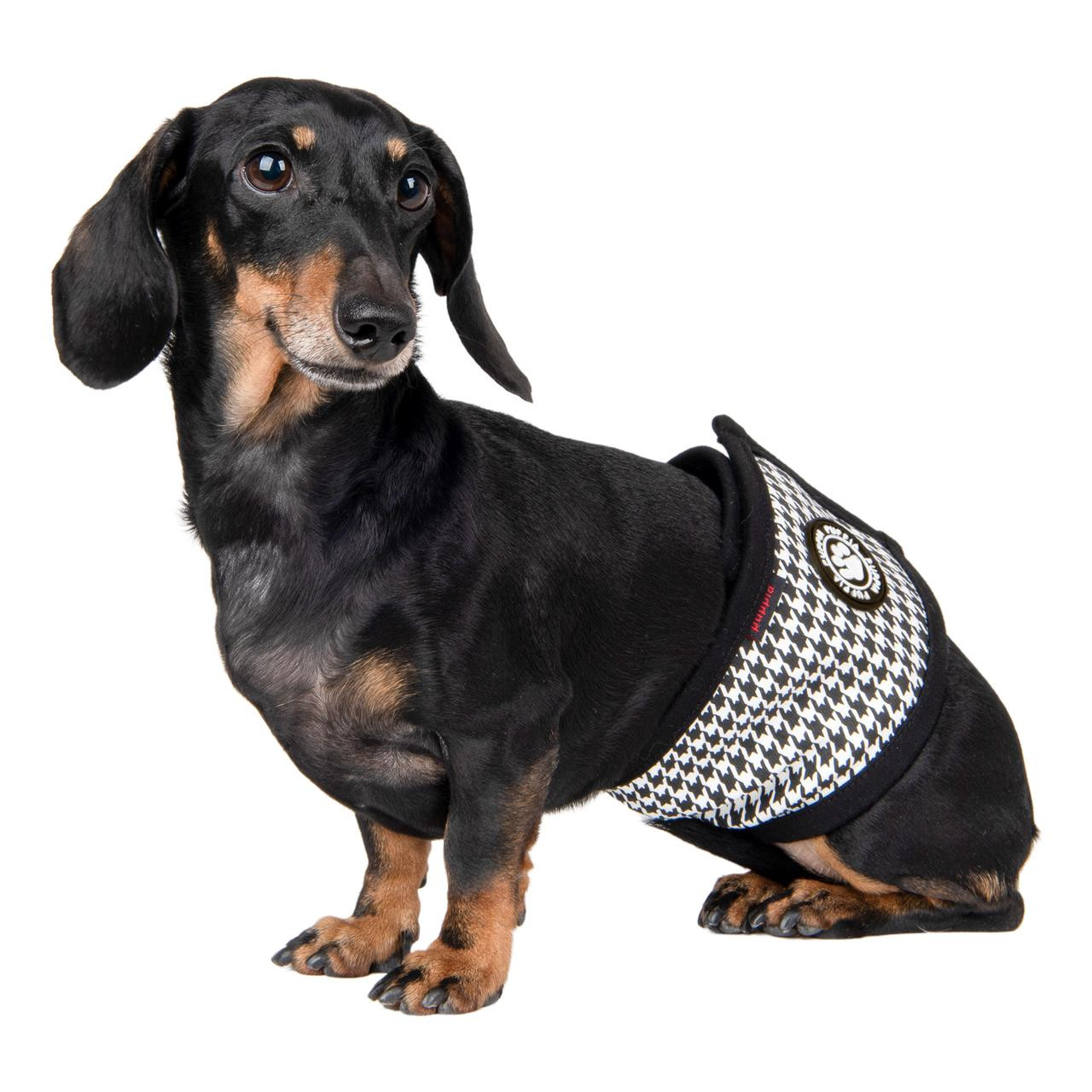 Puppia Egon Mannerband / Bellyband / Magebelte