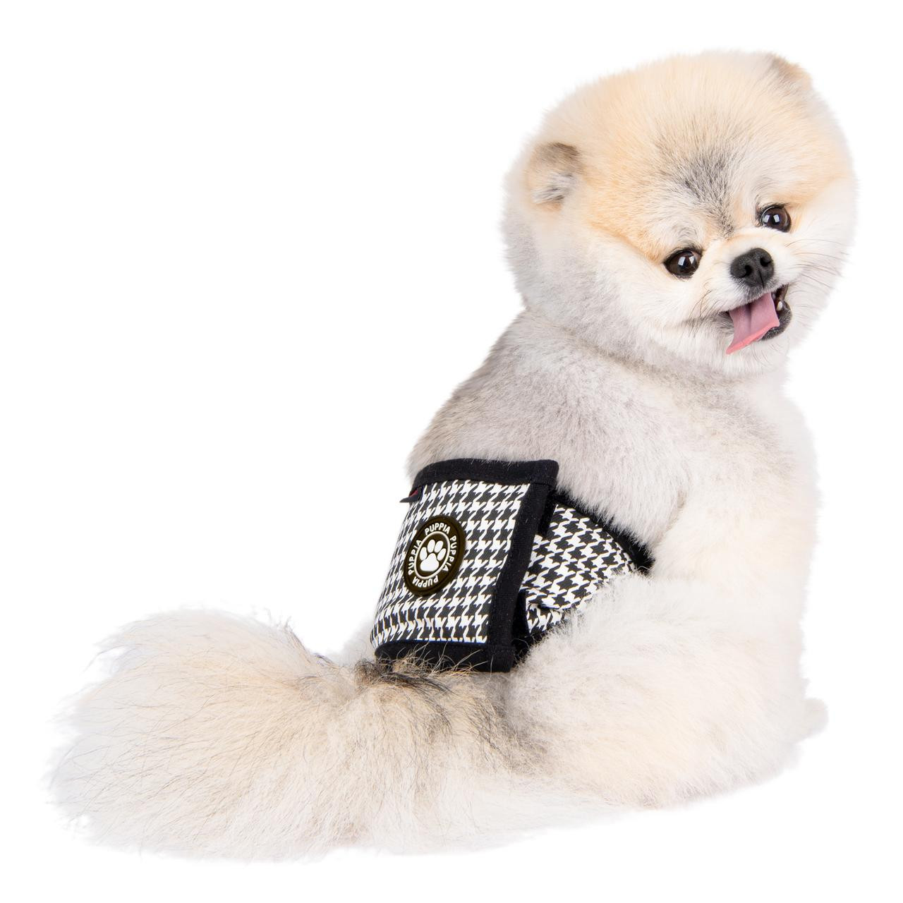 Puppia Egon Mannerband / Bellyband / Magebelte