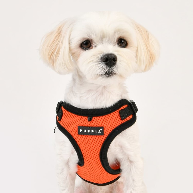 Puppia Soft Harness C Sort / Black