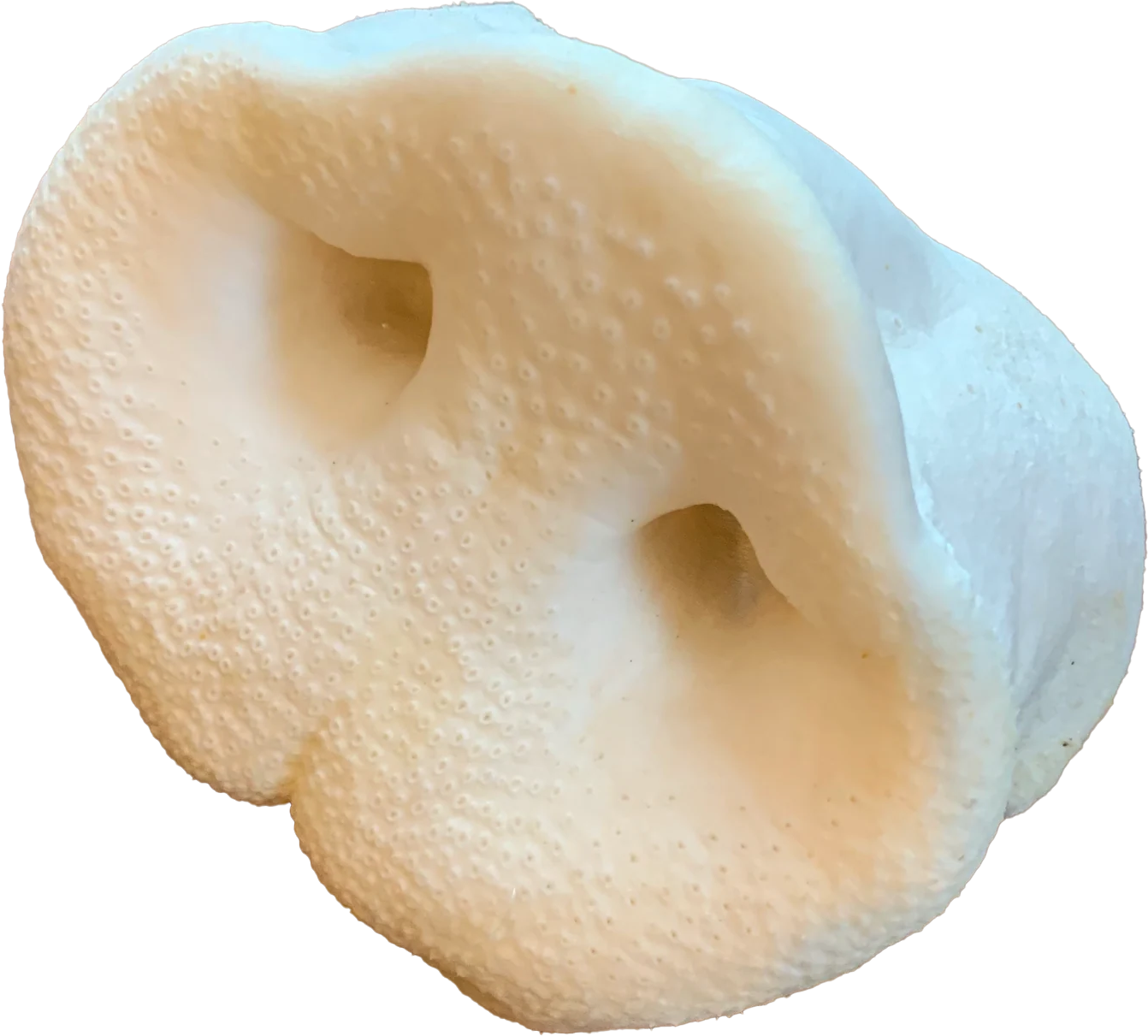 Antos Puffede Grisetryner stk