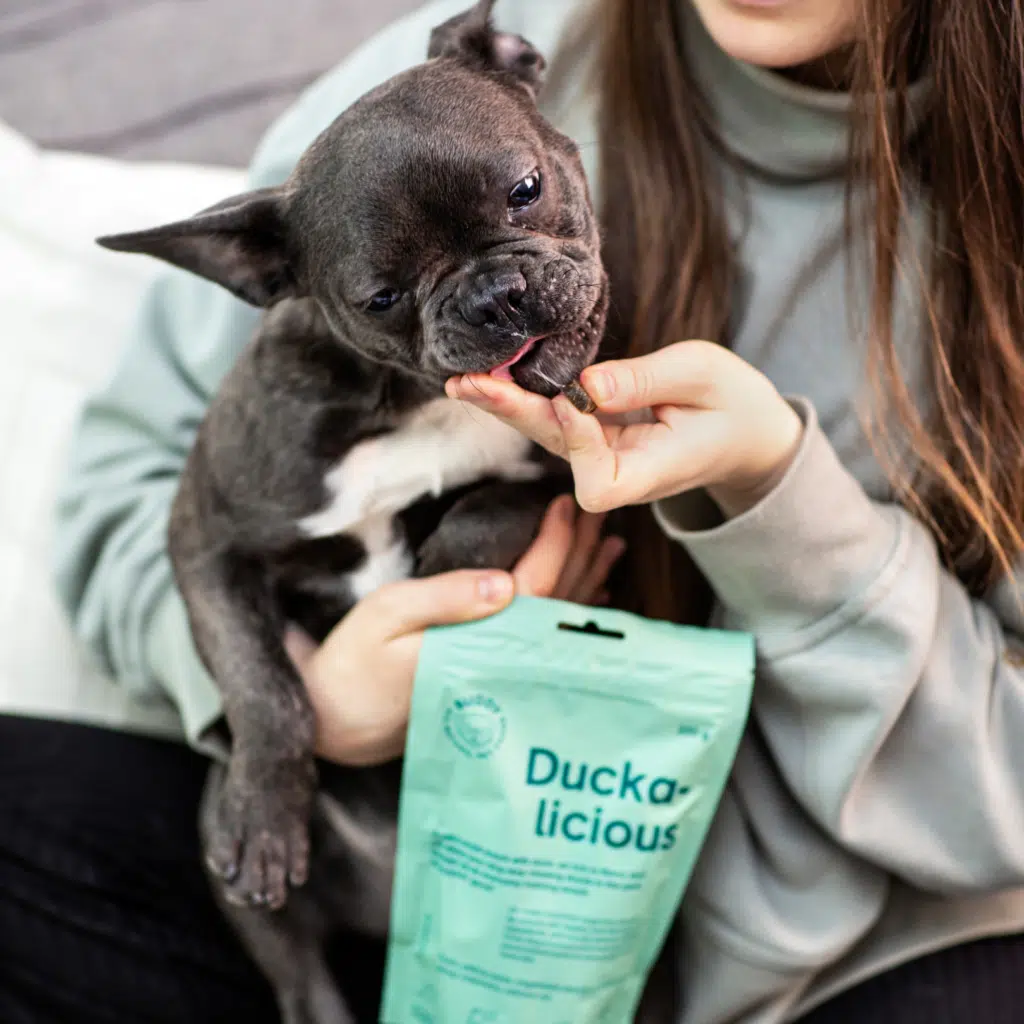 Buddy Semi-moist Snack Duck & Rosemary 200g