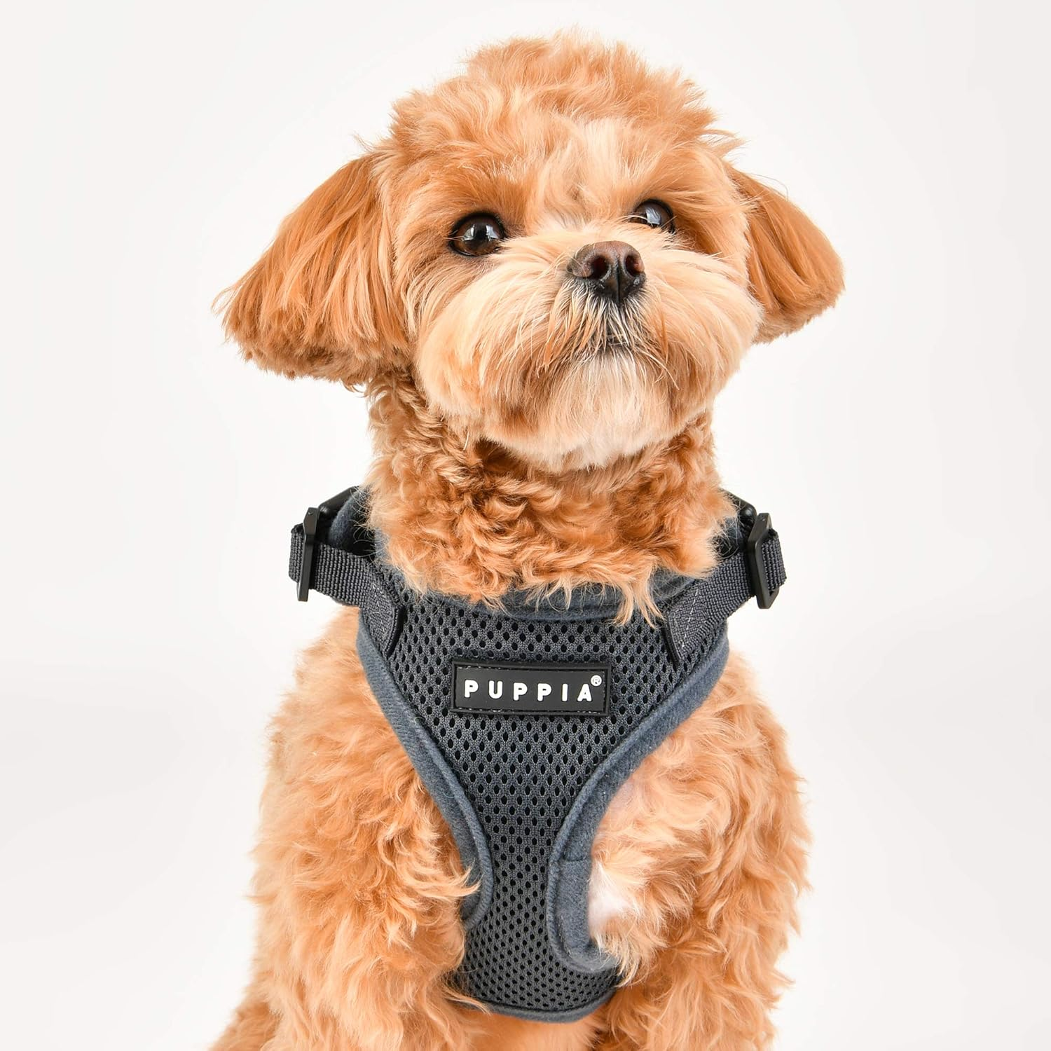 Puppia Ritefit Air Mesh Harness Lys blå / Sky Blue med justering i både nakke og bryst