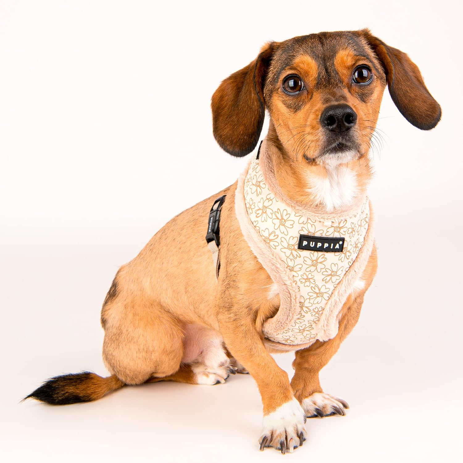Puppia Hepatica Harness A Beige