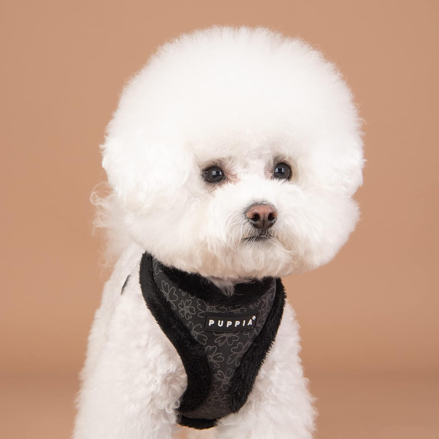 Puppia Hepatica Harness A Sort / Black