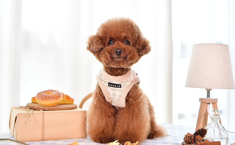 Puppia Hepatica Harness A Sort / Black