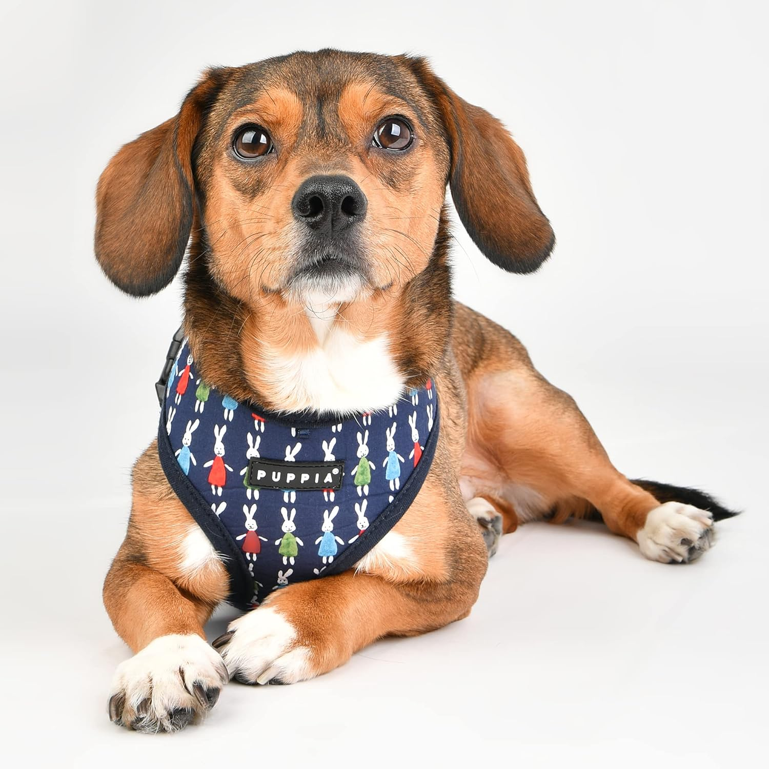 Puppia Mollie Harness A Blå / Navy