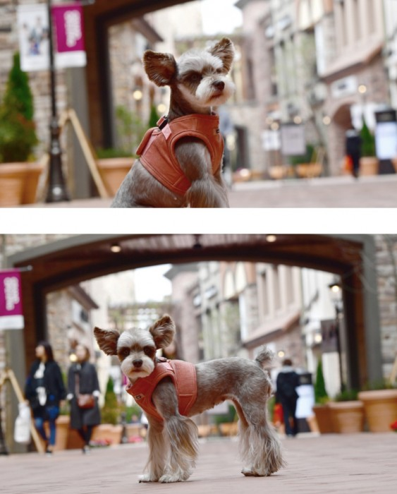 Puppia Classy Harness B Fersken/Grå/Blå // Peach/Grey/Navy