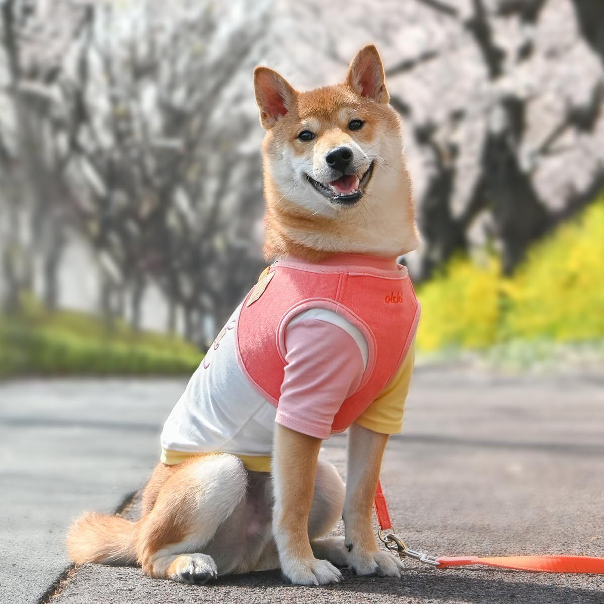 Olchi Magic Harness Fersken/Himmelblå // Peach/Pantone