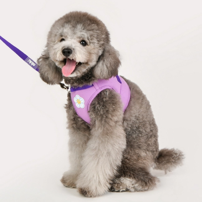 Olchi Flower Harness Lilla/Purple