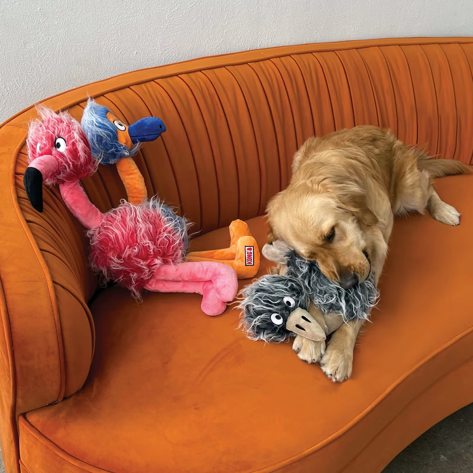 KONG Comfort Jumbo Birds XL assorterte farger