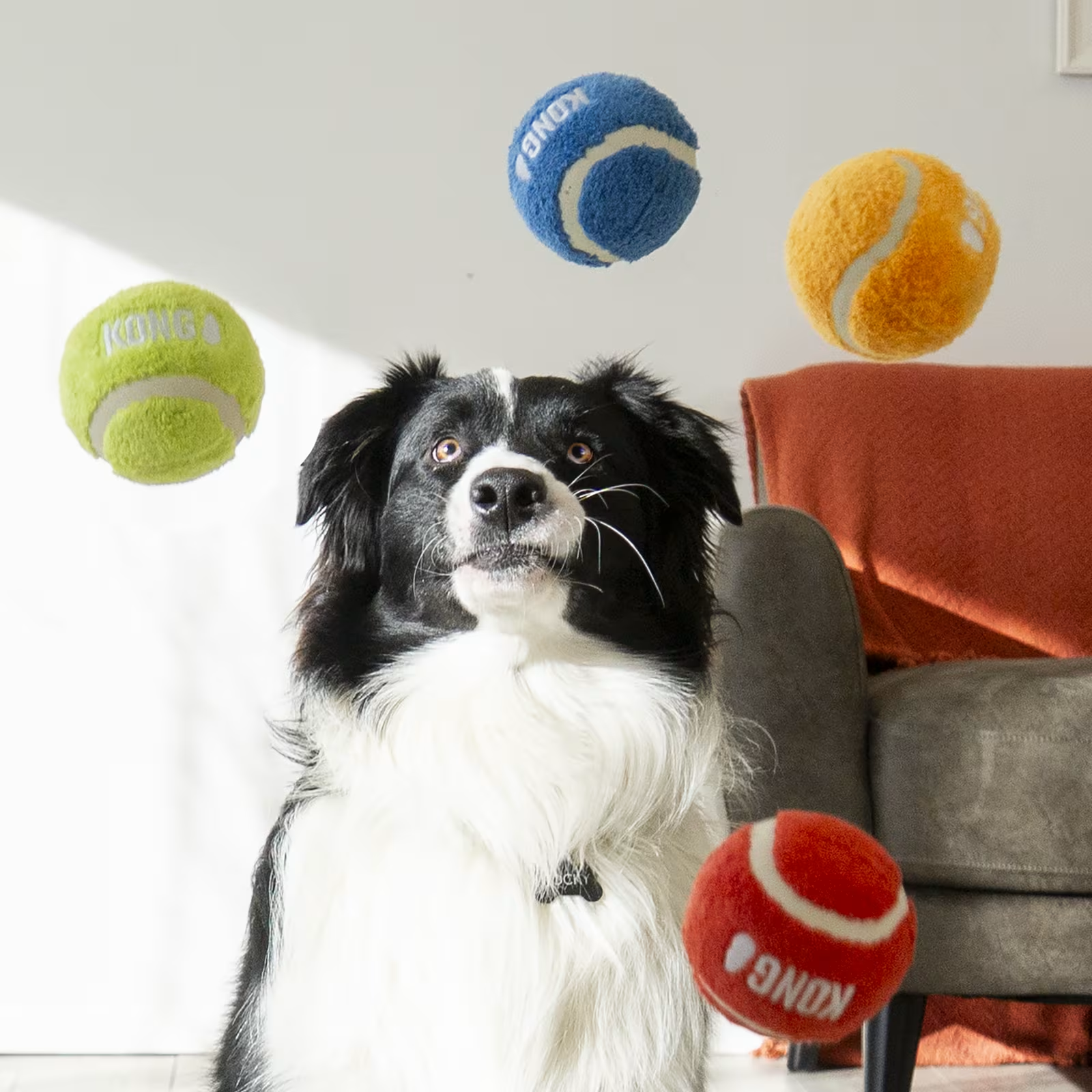 KONG Sport Softies Balls 3-pk S Assorterte farger