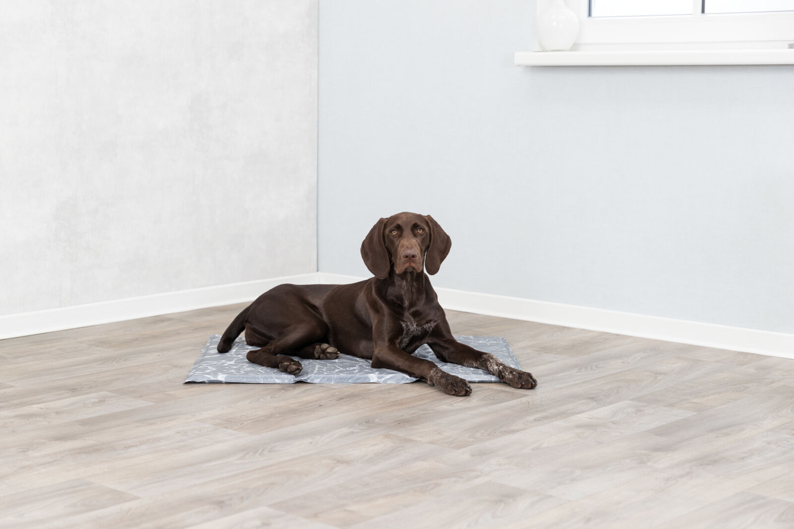 Trixie Kjølematte Soft 90x60cm XL Grå
