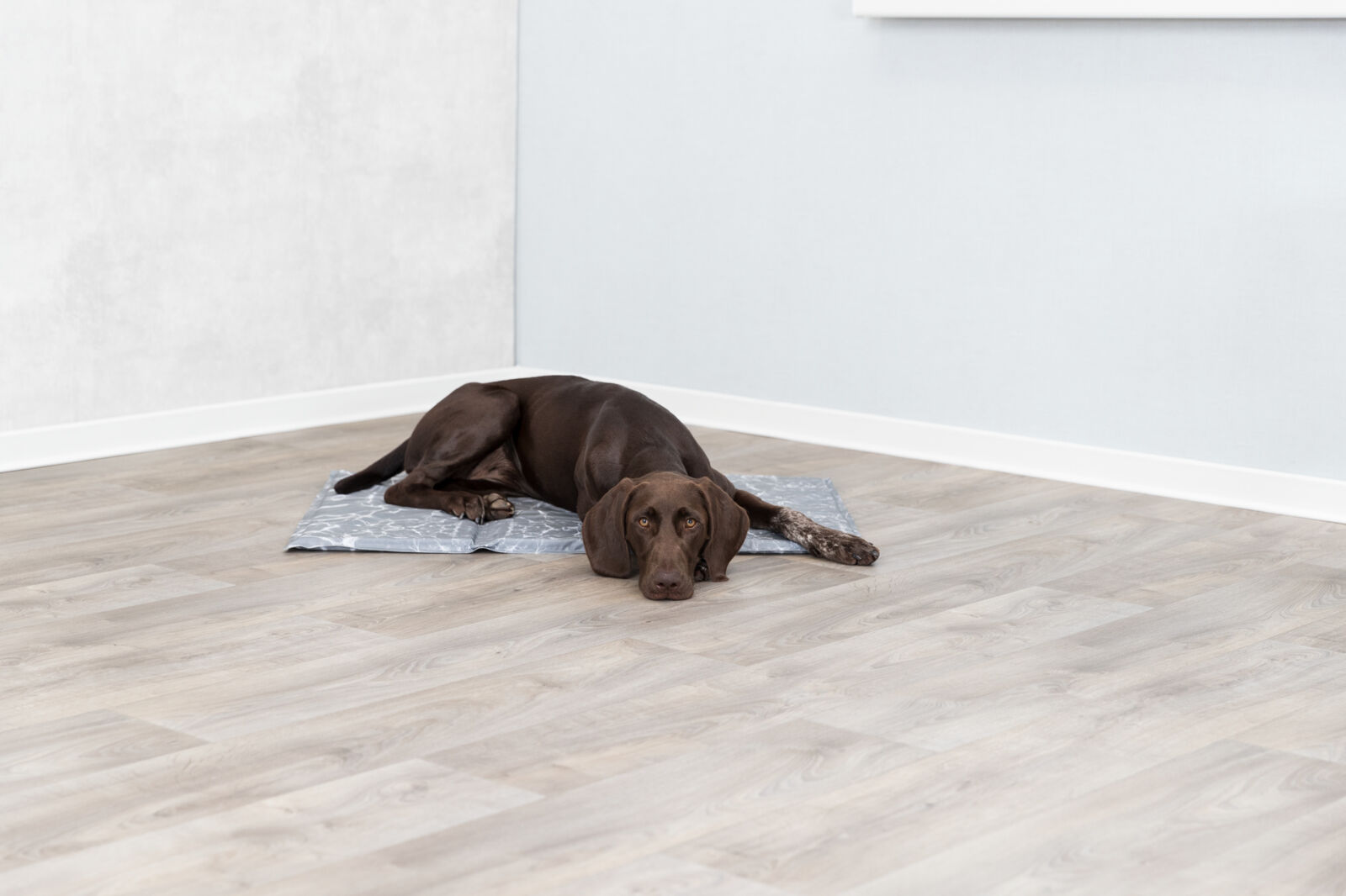 Trixie Kjølematte Soft 90x60cm XL Grå