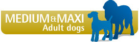 Farmina Dog Dental Treat Pumpkin Lamb & Blueberry Adult Medium & Maxi 100 Gr
