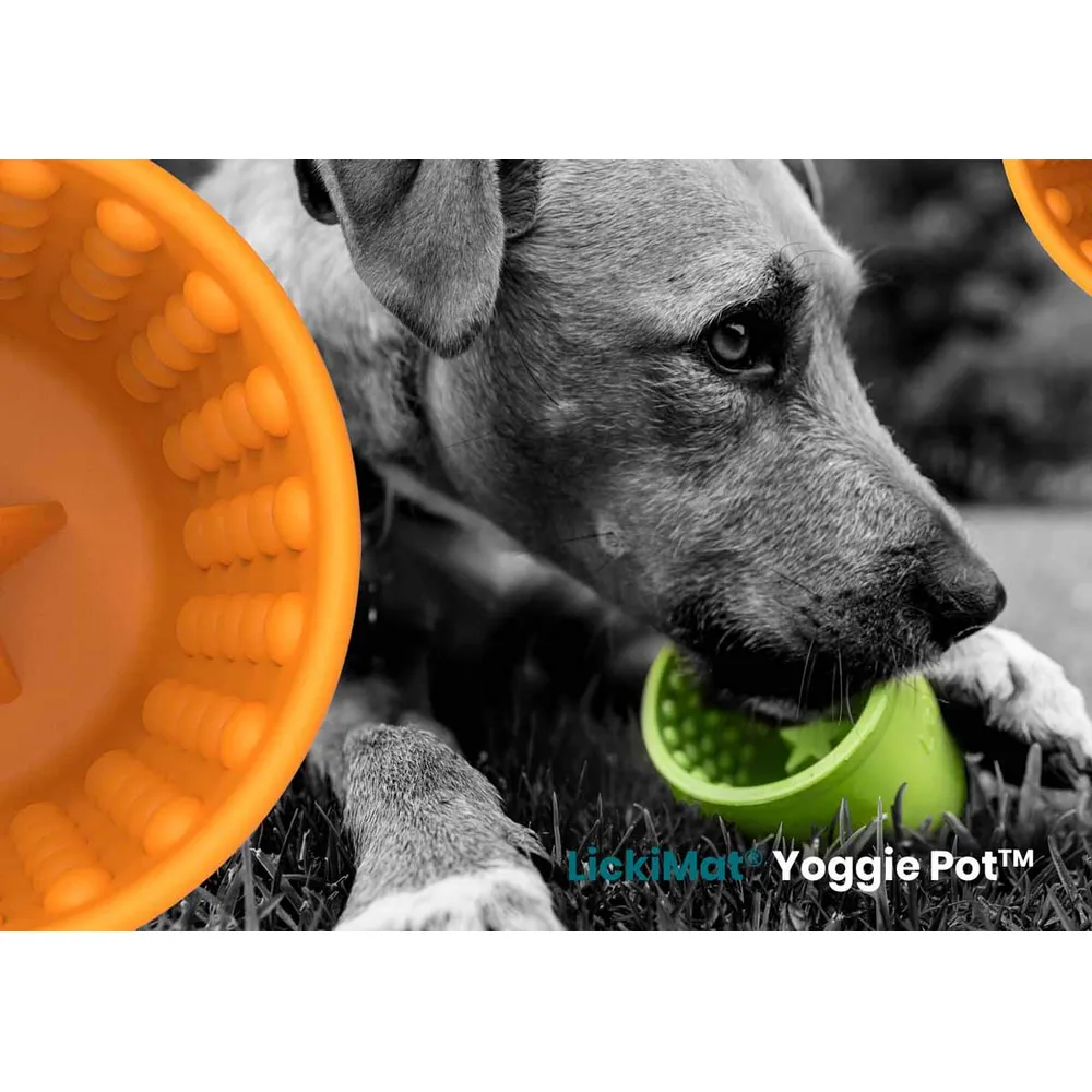 Lickimat Yoggie Pot Grøn Hundeskål