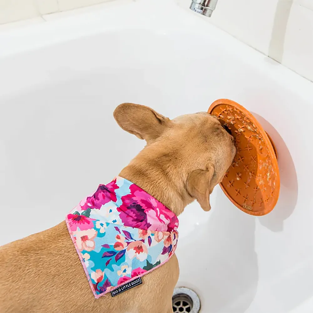 Lickimat Splash Grøn Hundskål