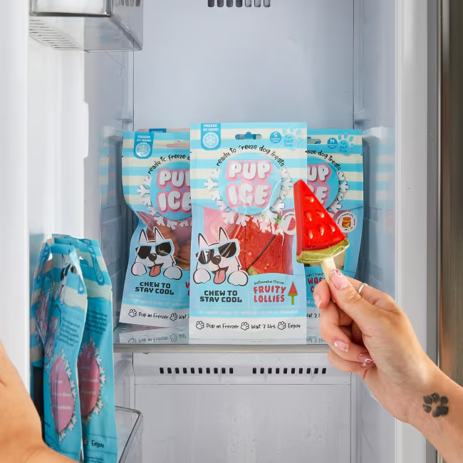 Pup Ice Fruity Lollies 3pk 90g Vannmelon
