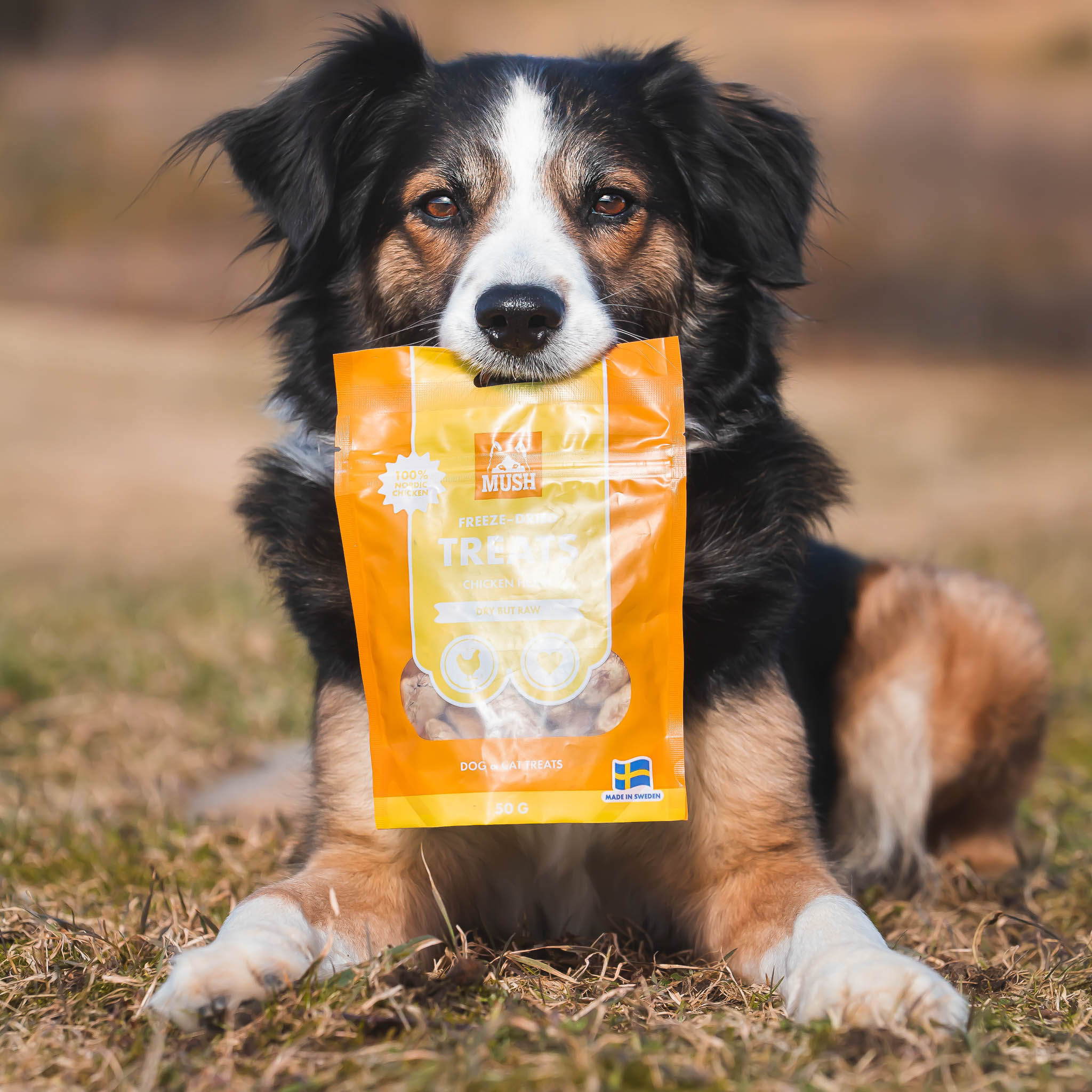 MUSH Treats Frysetørket Kyllinghjerte 50g