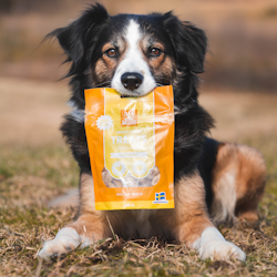 MUSH Treats Frysetørket Kyllinghjerte 50g