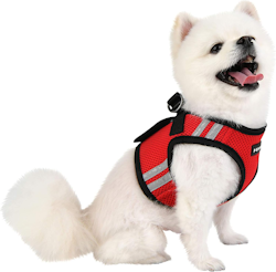 Puppia Soft Harness B PRO m refleks Rød/Red