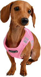 Puppia Soft Harness B PRO m refleks Rosa/Pink