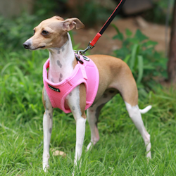 Puppia Soft Sport Harness B Rosa / Pink