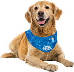Chill Out Ice Bandana