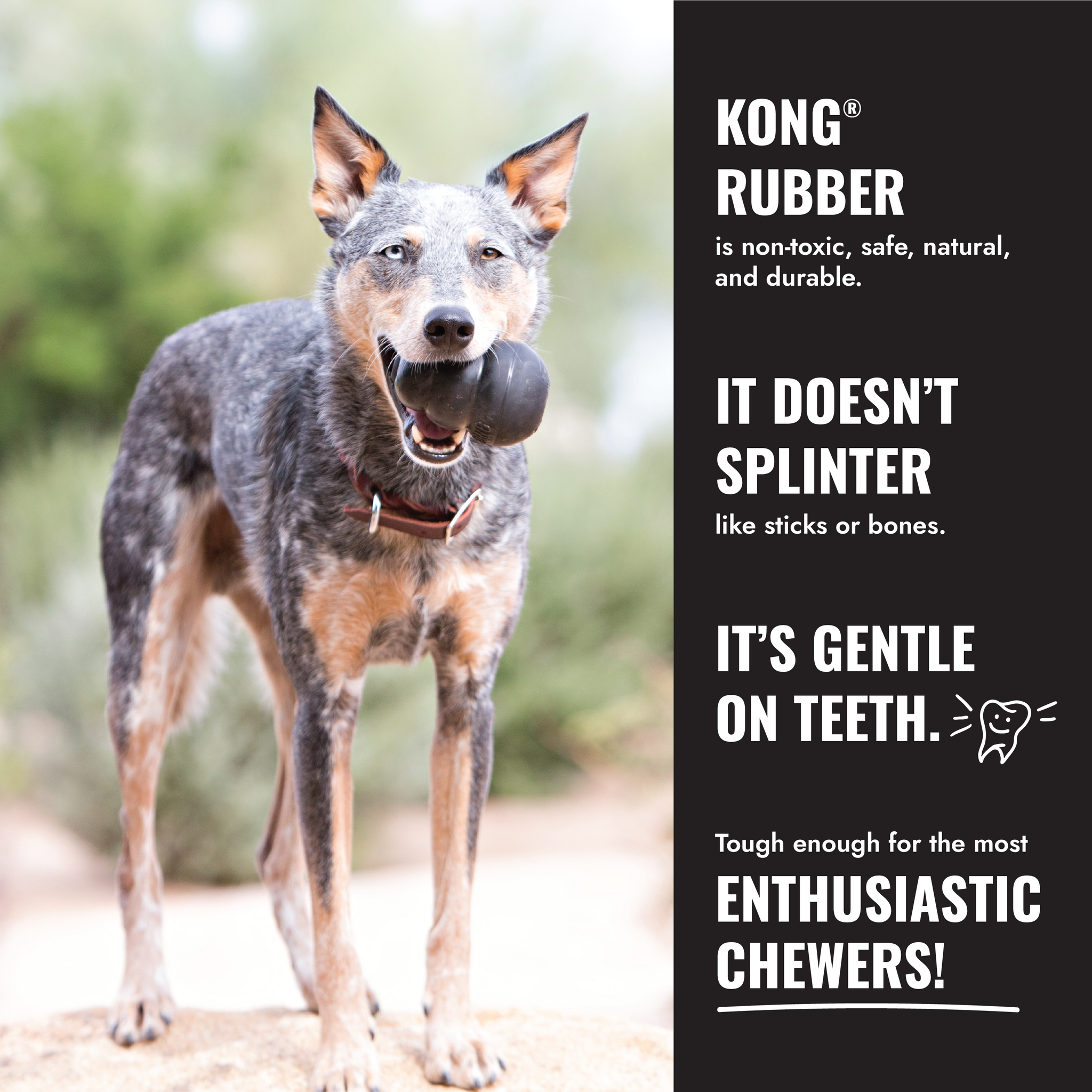 KONG Extreme Sort/Black