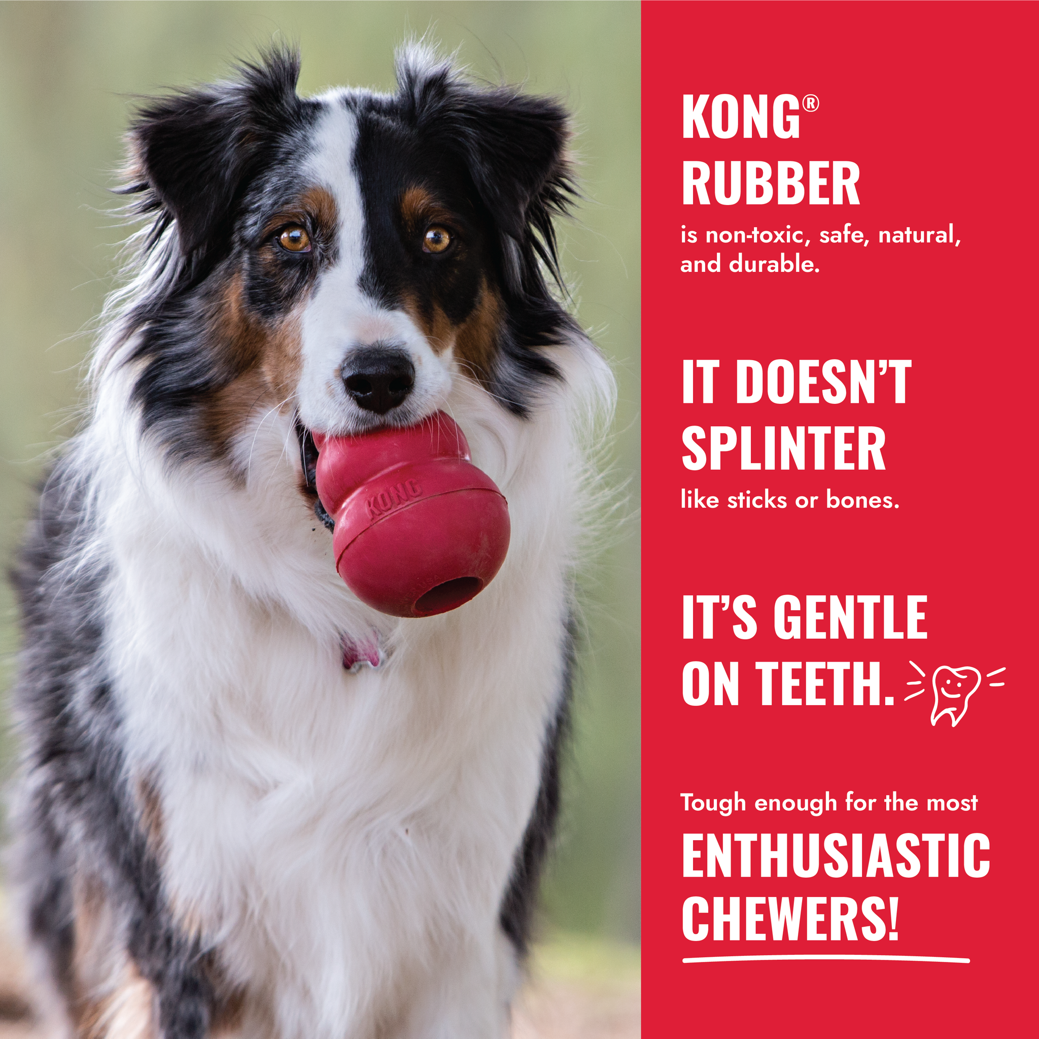KONG Classic/Orginal