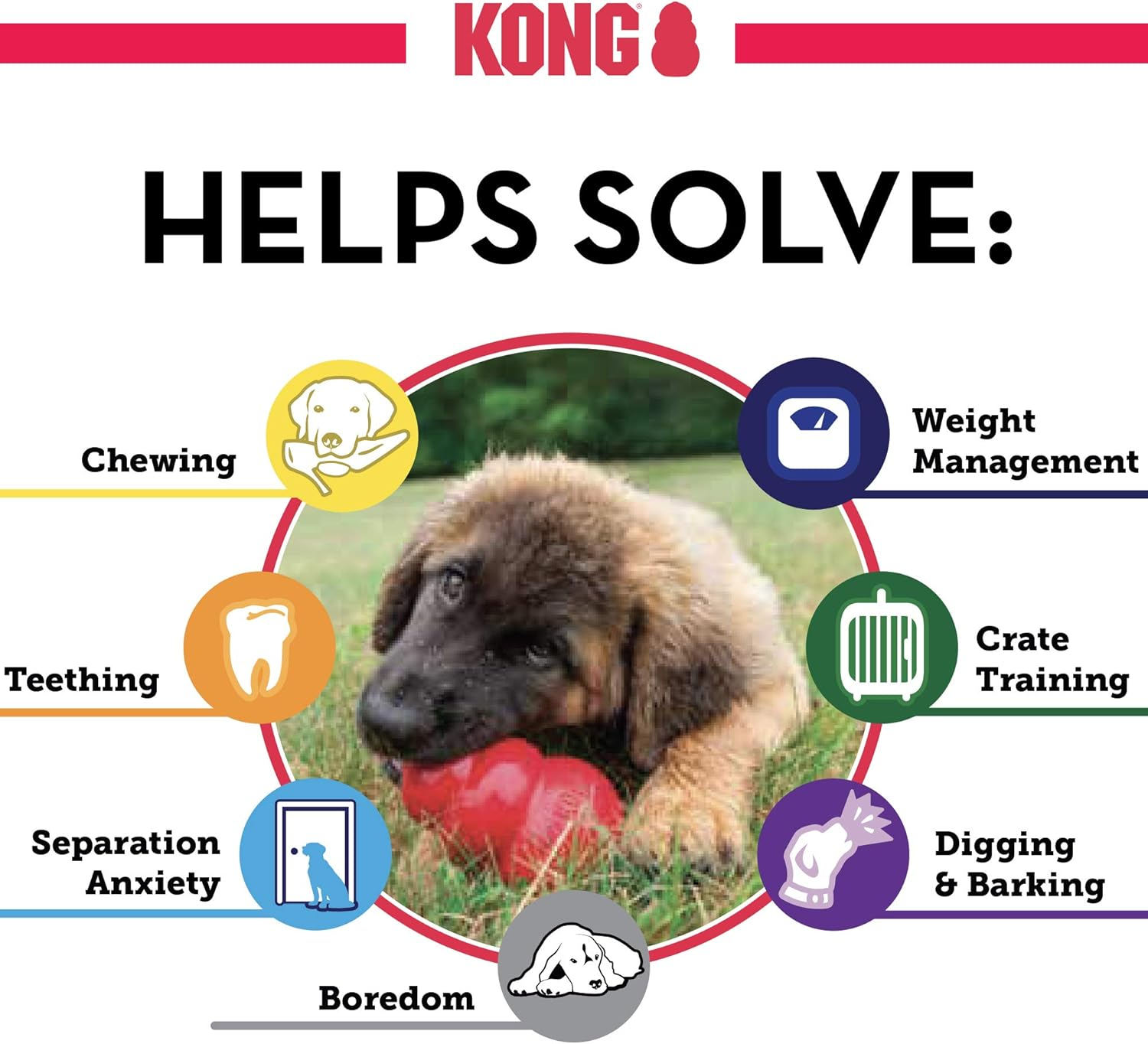 KONG Classic/Orginal