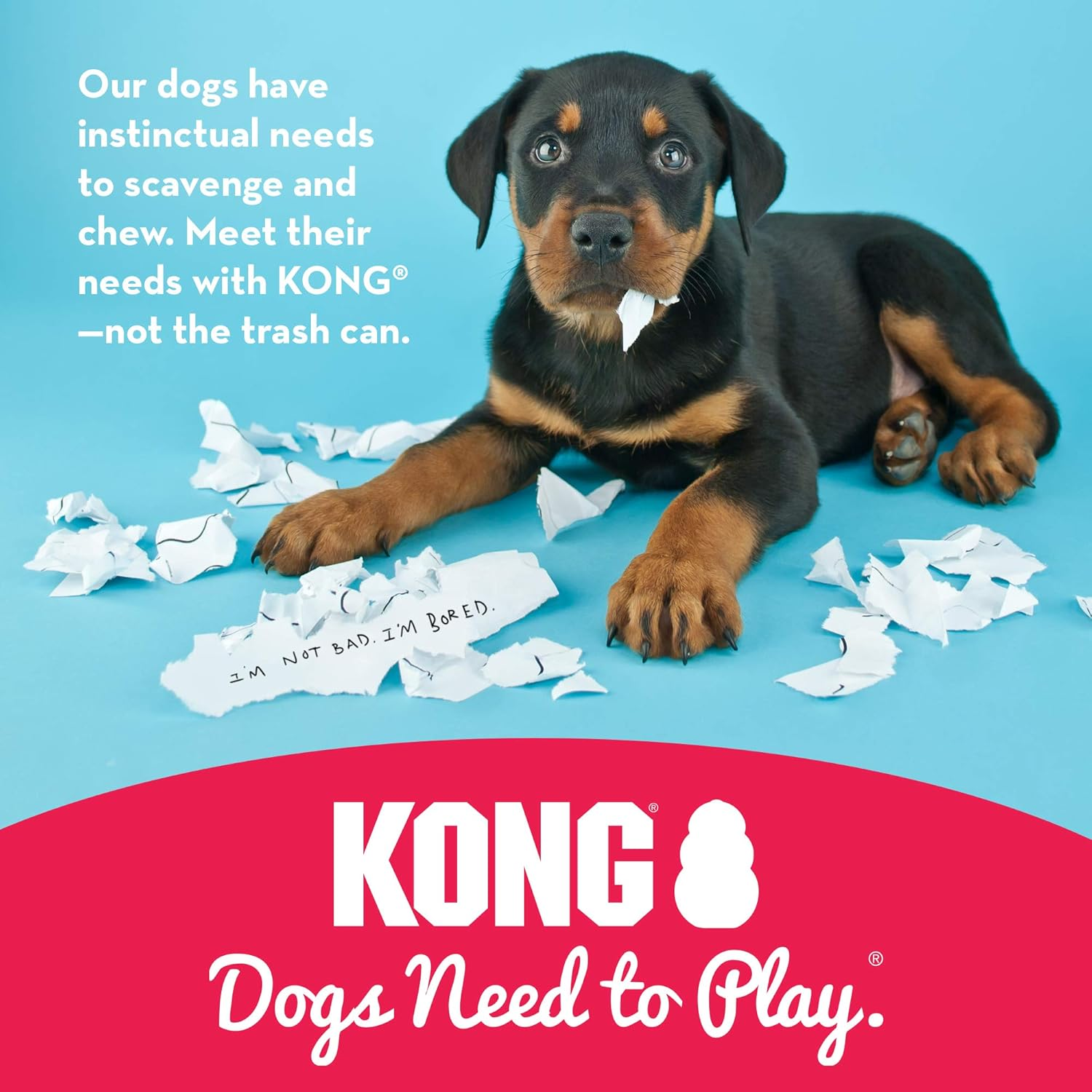 KONG Classic/Orginal