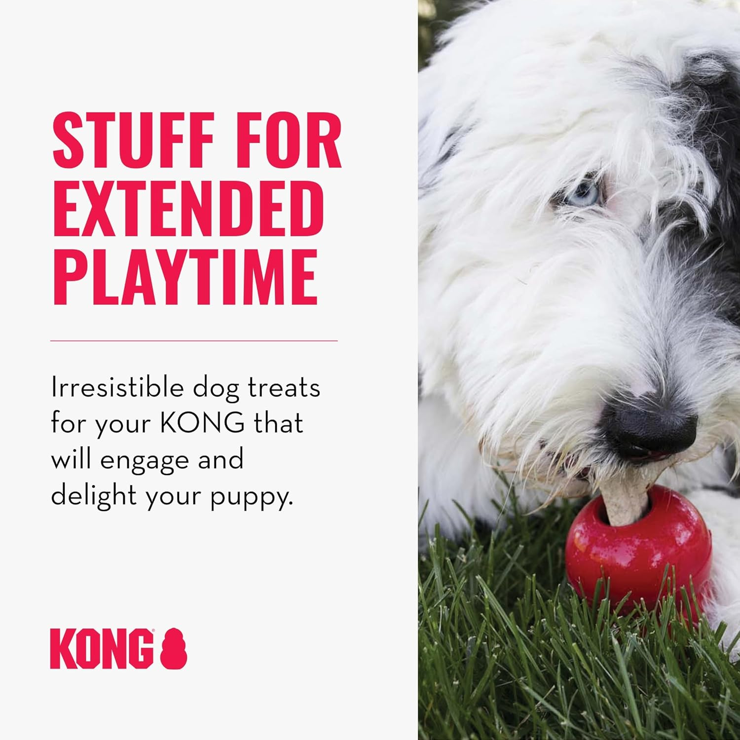 KONG Ziggies S 198g