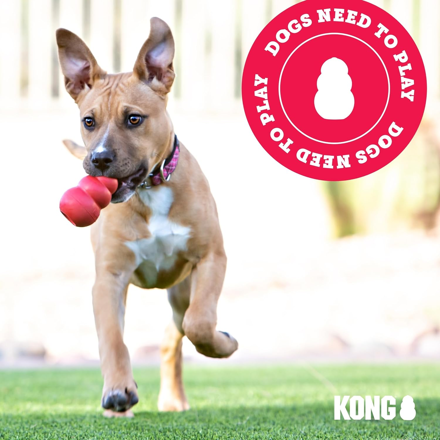 KONG Ziggies S 198g