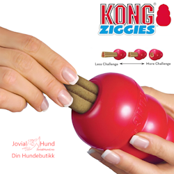 KONG Ziggies S 198g