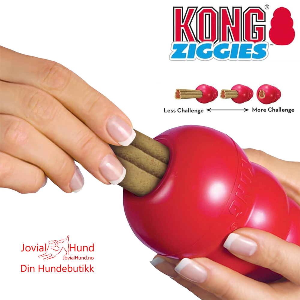 KONG Ziggies M/L 227g